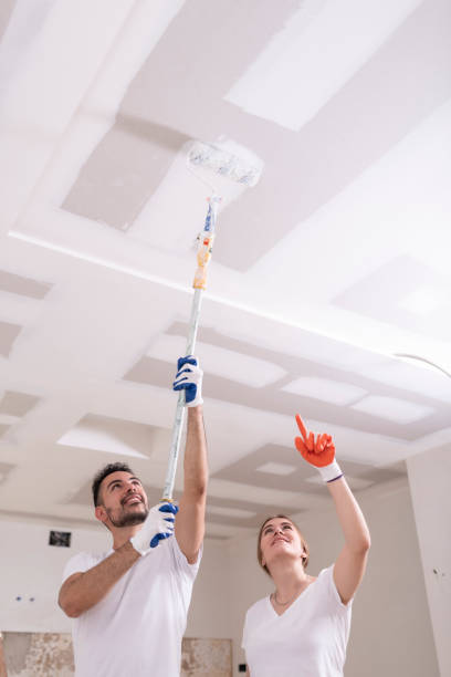 Best Asbestos and Lead Testing During Mold Inspection  in Howey In The Hills, FL